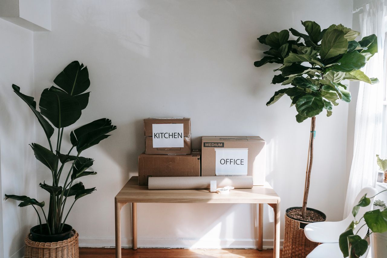 our-story Stylish interior with moving boxes labeled Kitchen and Office on a wooden table surrounded by houseplants.